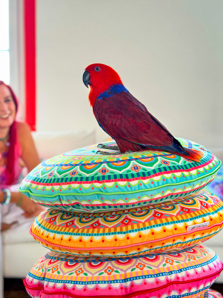 Lieblingskissen – Jasmin rot ⌀ 50 cm